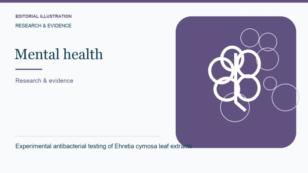 Editorial illustration: Experimental antibacterial testing of Ehretia cymosa leaf extracts