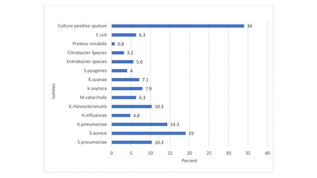Percentage of pathogenic bacterial isolates from sputum culture of adult patients with Gene Xpert-negative presumptive tuberculosis at HFCSH, eastern Ethiopia, from January 01 to April 30, 2024.