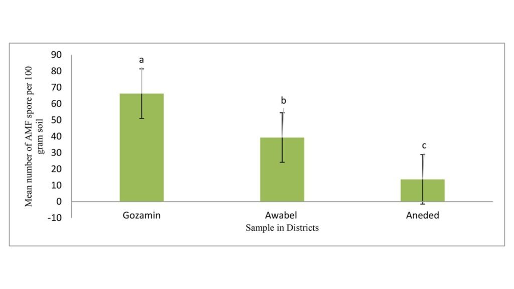 Average AMF spore densities (spores per 100 g dry soils) at district level.Values are mean±SD and are expressed as means of triplicate experiments. Means with the same letter in the same column are not significantly different at p < 0.05 by LSD test.