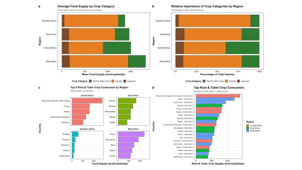 Regional food supply across sub-Saharan Africa (46 countries, 2018–2022 averages).(A) Mean daily caloric contribution by crop category per region (kcal/capita/day). (B) Calories from major crop categories by region, as a percentage of the total from cereals, RTCs and legumes. (C) Top five RTC consumers per region. (D) Top 20 countries by RTC consumption (kcal/capita/day), colour-coded by region.