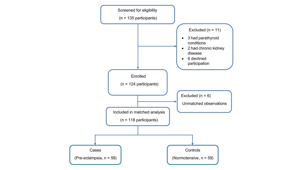 Study flow diagram showing participant selection.Matching was performed on maternal age (±3 years), parity (0, 1–3, ≥ 4), and gestational age at delivery (±1 week).