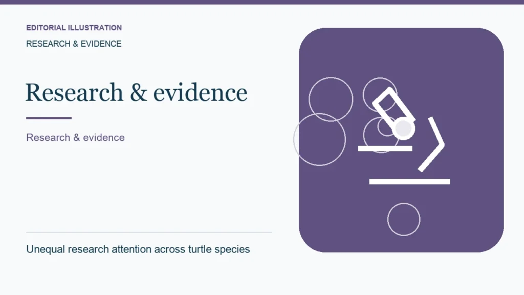 Editorial illustration: Unequal research attention across turtle species