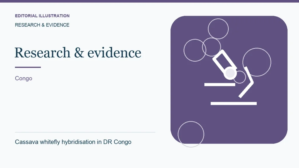 Editorial illustration: Cassava whitefly hybridisation in DR Congo