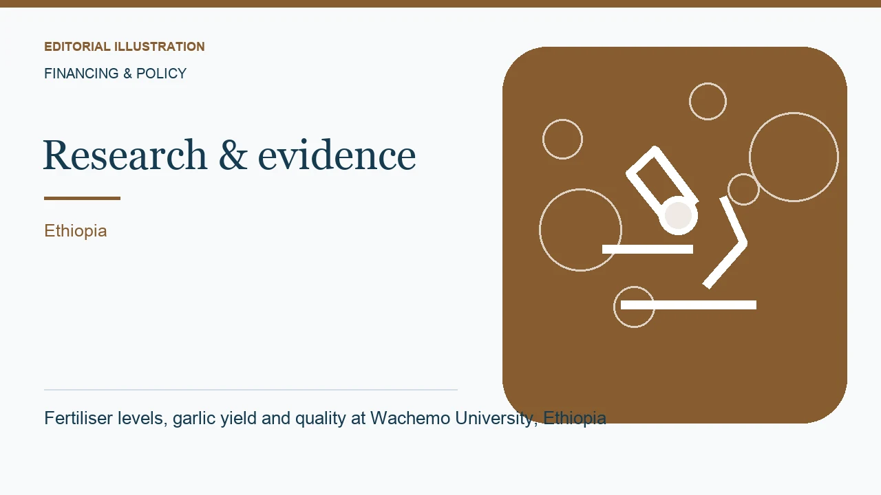 Editorial illustration: Fertiliser levels, garlic yield and quality at Wachemo University, Ethiopia