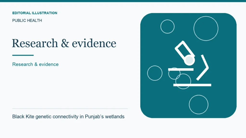 Editorial illustration: Black Kite genetic connectivity in Punjab’s wetlands