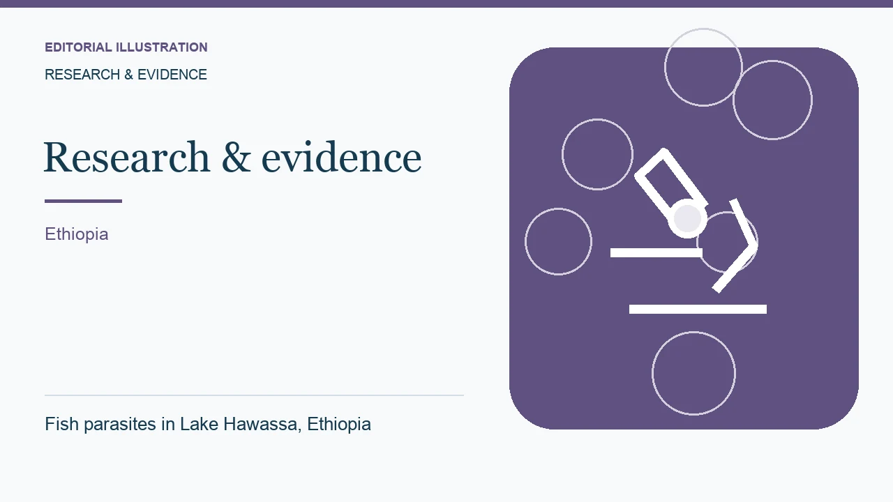 Editorial illustration: Fish parasites in Lake Hawassa, Ethiopia